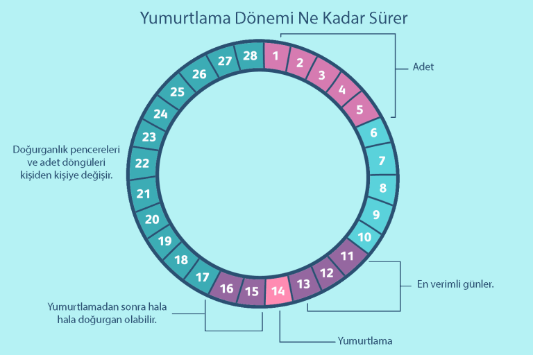 Adet Günü Hesaplama: Regl Döneminizi Kolayca Takip Edin