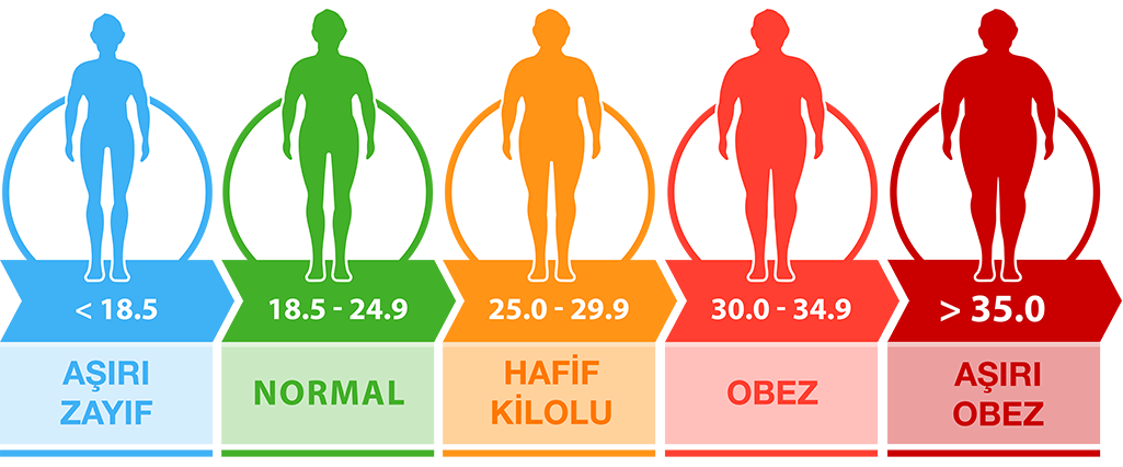 Vücut Kitle Endeksi (VKE) Hesaplama: Sağlığınızı Takip Edin